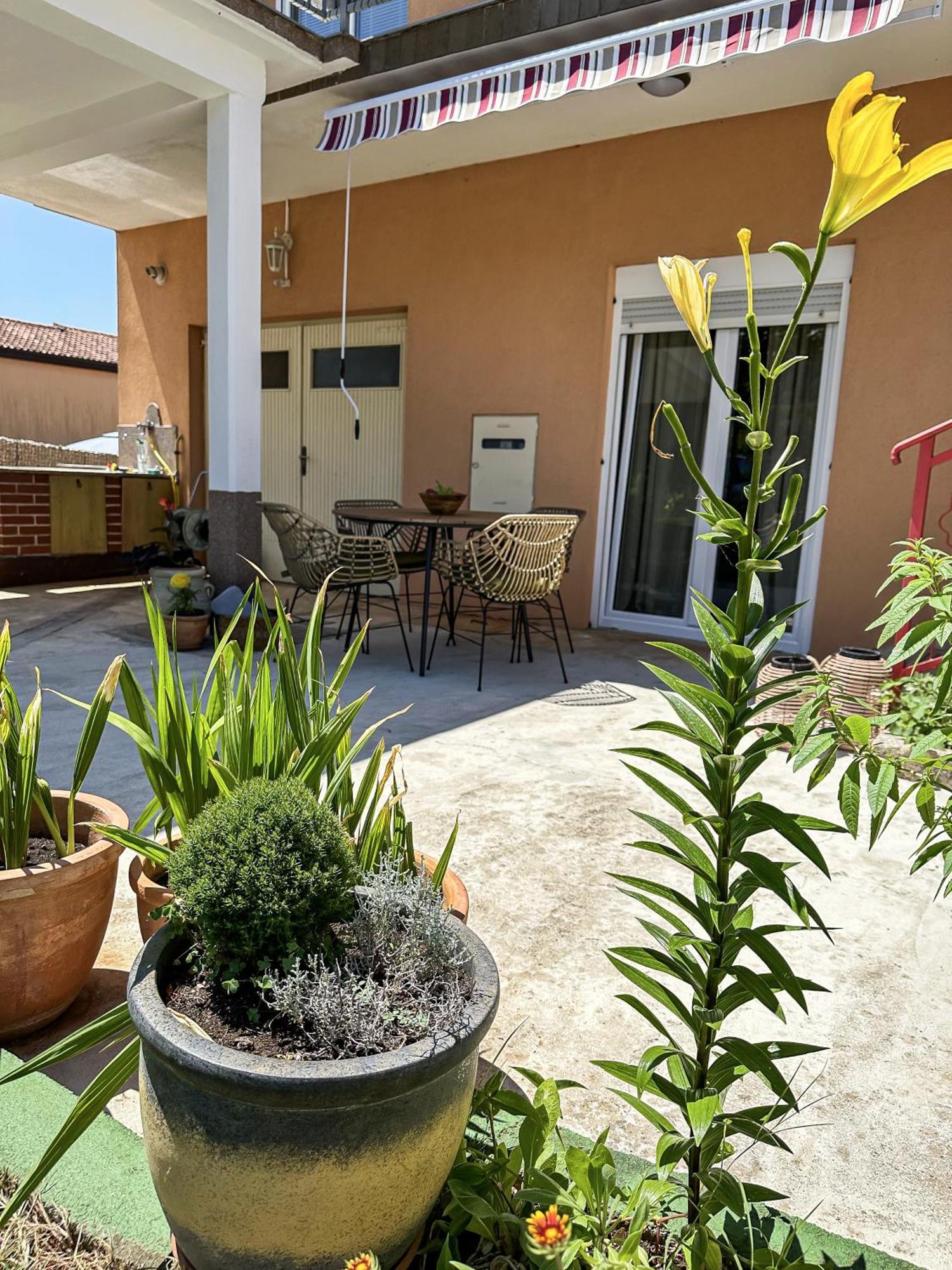 Apartments Dent Umag Extérieur photo